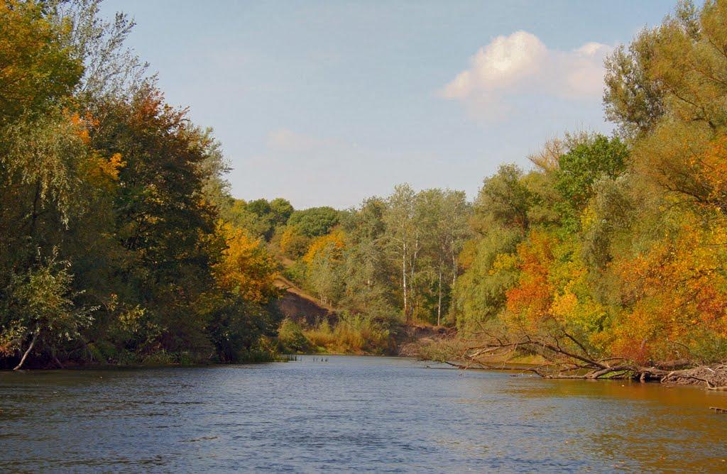 Шилівка з panoramio.com - Шиловка