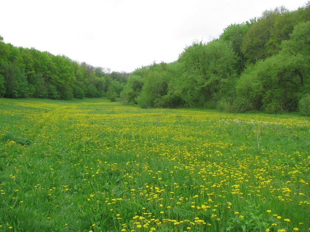 Бербениці з panoramio.com - Бербениці