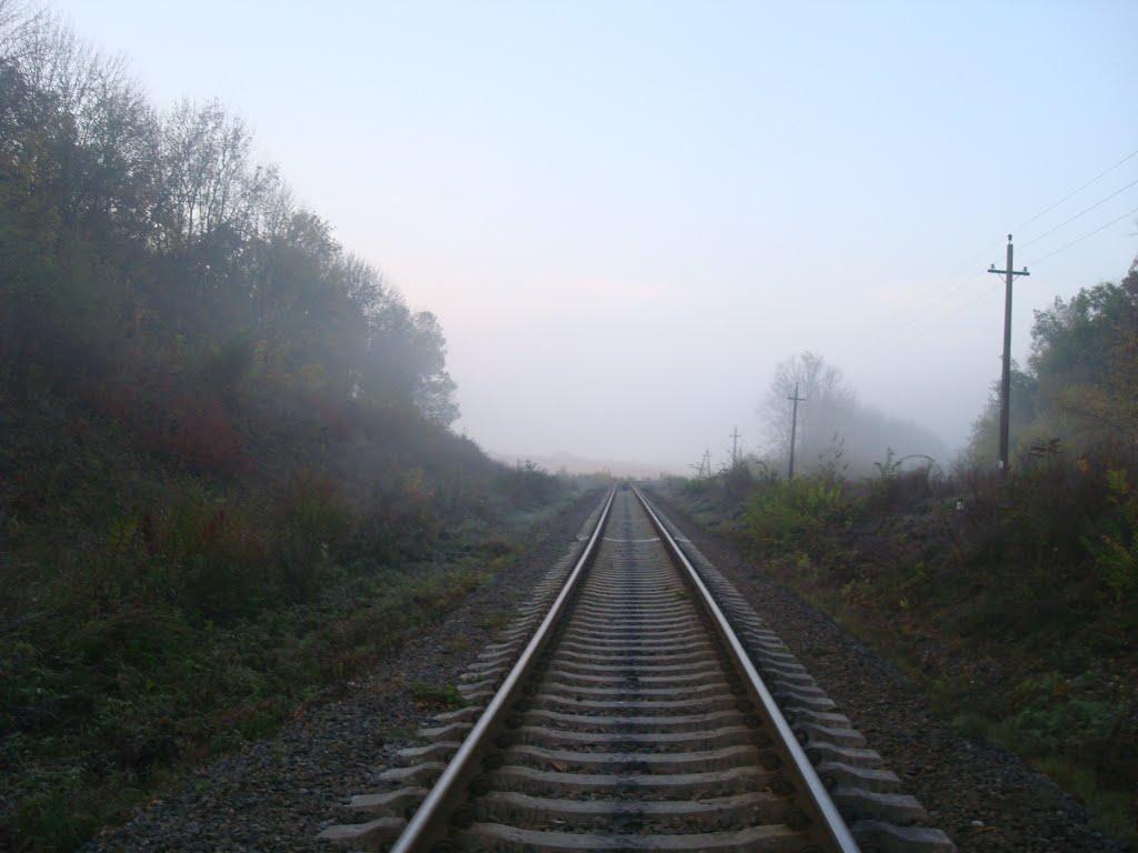 Городок з panoramio.com - Городок