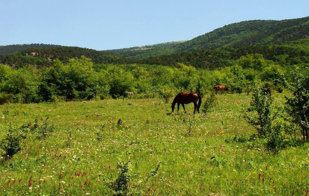 Колхозне з panoramio.com - Колхозное