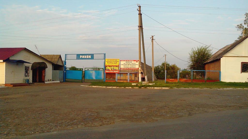 Вільшана з panoramio.com - Вільшана