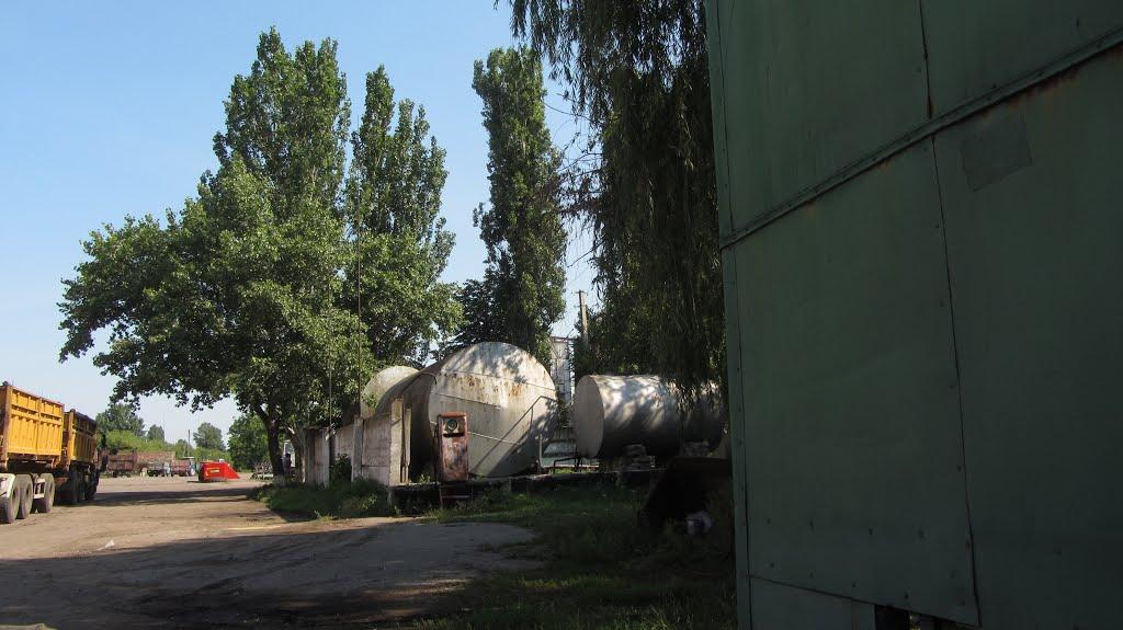 Кавуни з panoramio.com - Кавуни