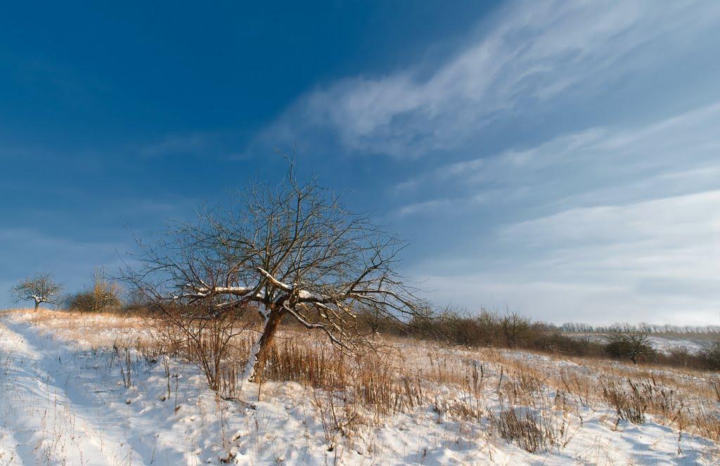 Мислова з panoramio.com - Myslova