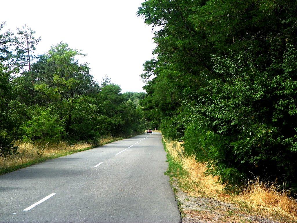 Чапаєвка з panoramio.com - Чапаевка