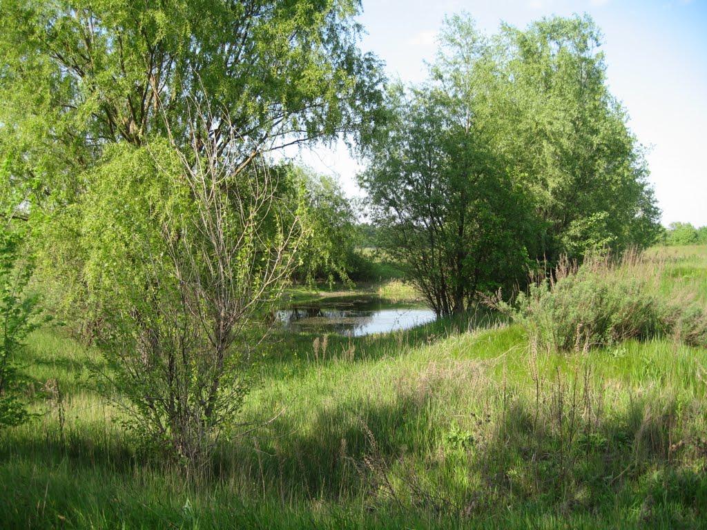 Плавні з panoramio.com - Плавни