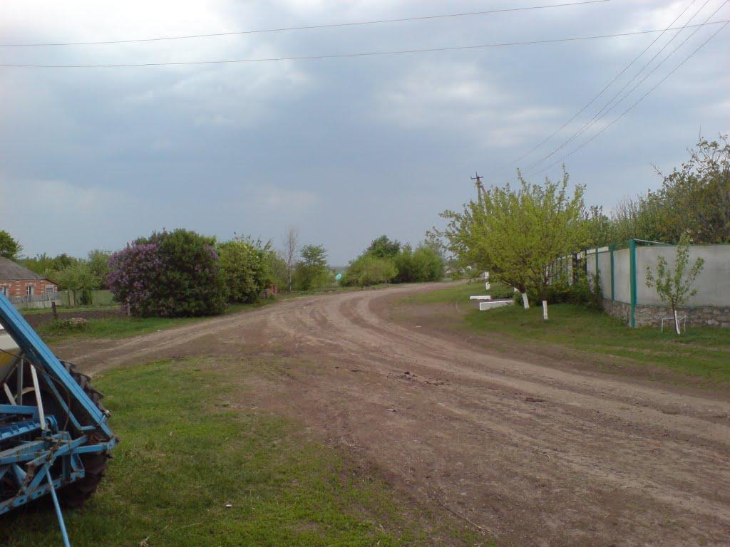 Зарябинка з panoramio.com - Зарябинка