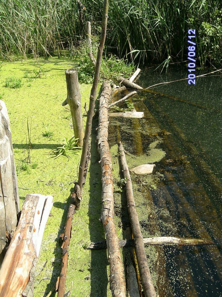 Глухів з panoramio.com - Глухов