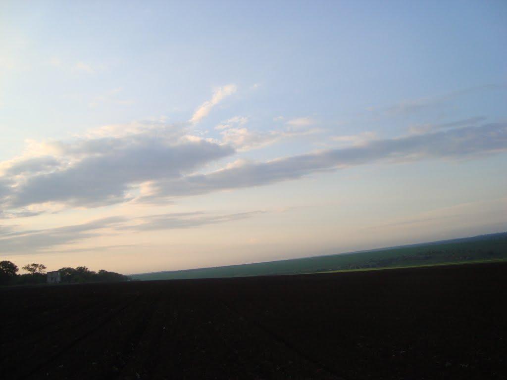 Світле з panoramio.com - Светлое