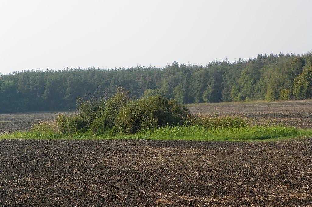 Чехівка з panoramio.com - Чеховка