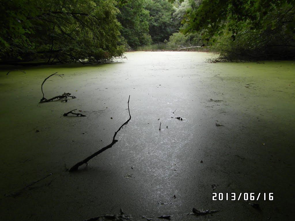 Есхар з panoramio.com - Эсхар