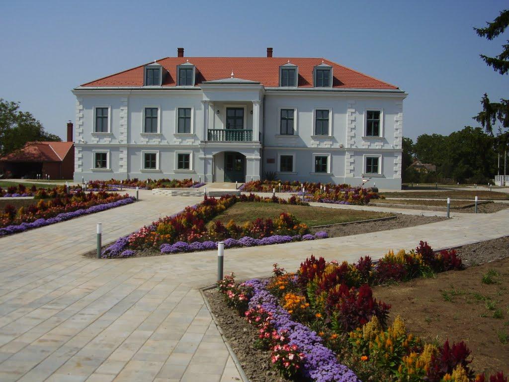 Чома з panoramio.com - Чома