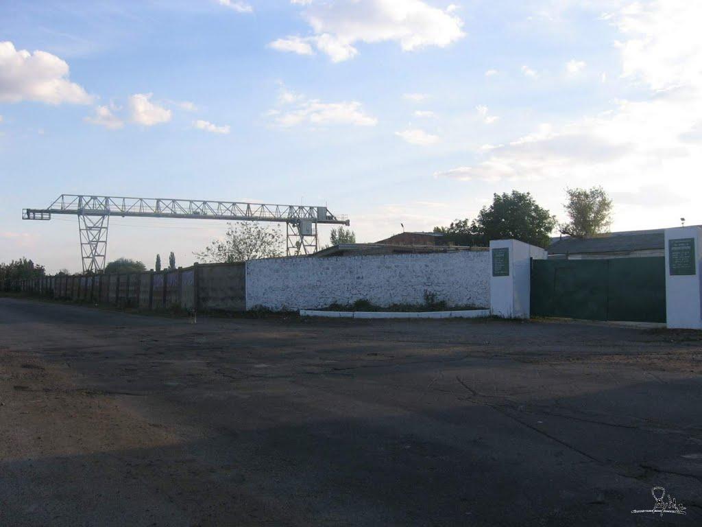 Кавуни з panoramio.com - Кавуни