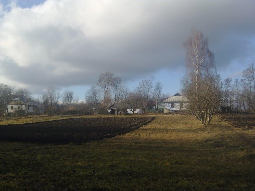 Рясне з panoramio.com - Рясное