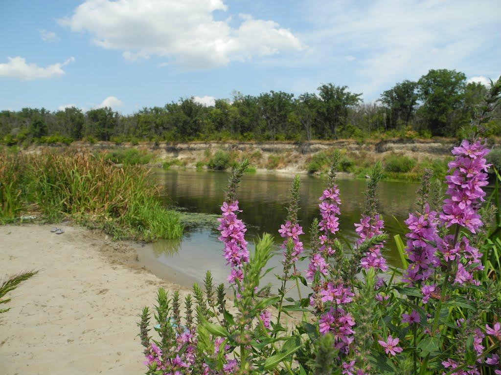 Пархоменко з panoramio.com - Parkhomenko