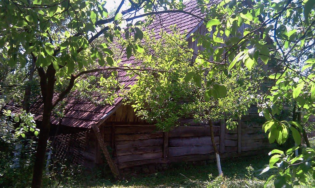 Пістрялово з panoramio.com - Пестрялово