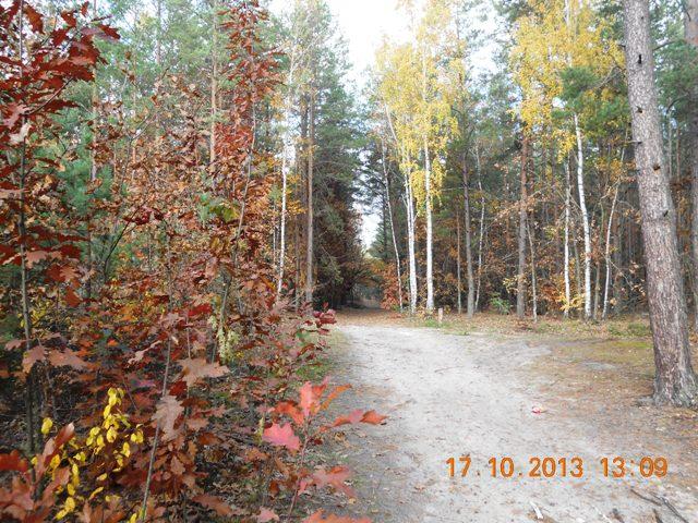 Бондарня з panoramio.com - Бондарня