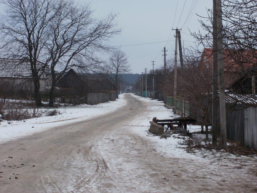 Межирічка з panoramio.com - Mezhyrichka