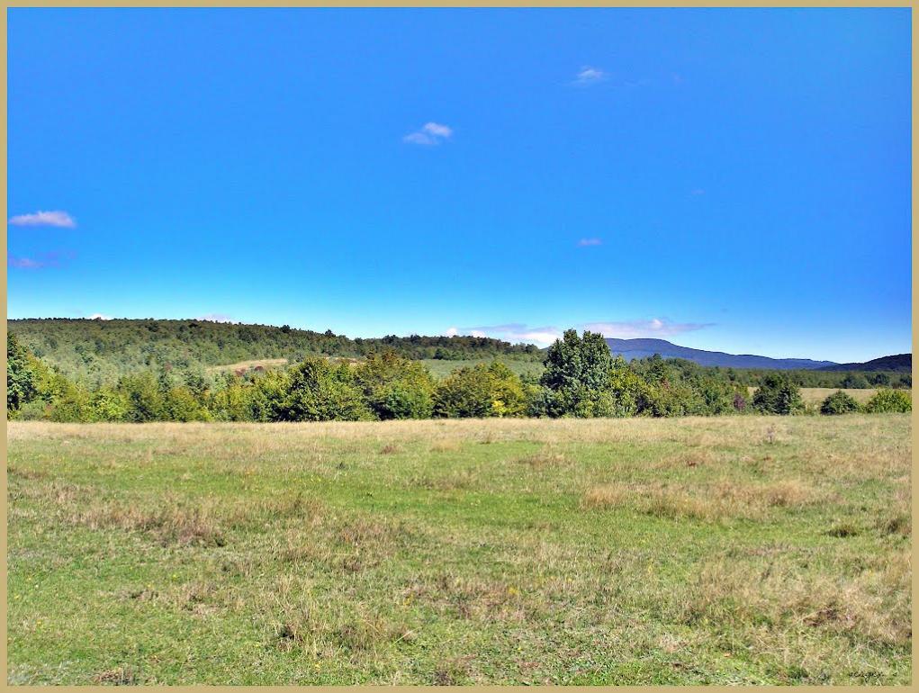 Анталовці з panoramio.com - Анталовцы