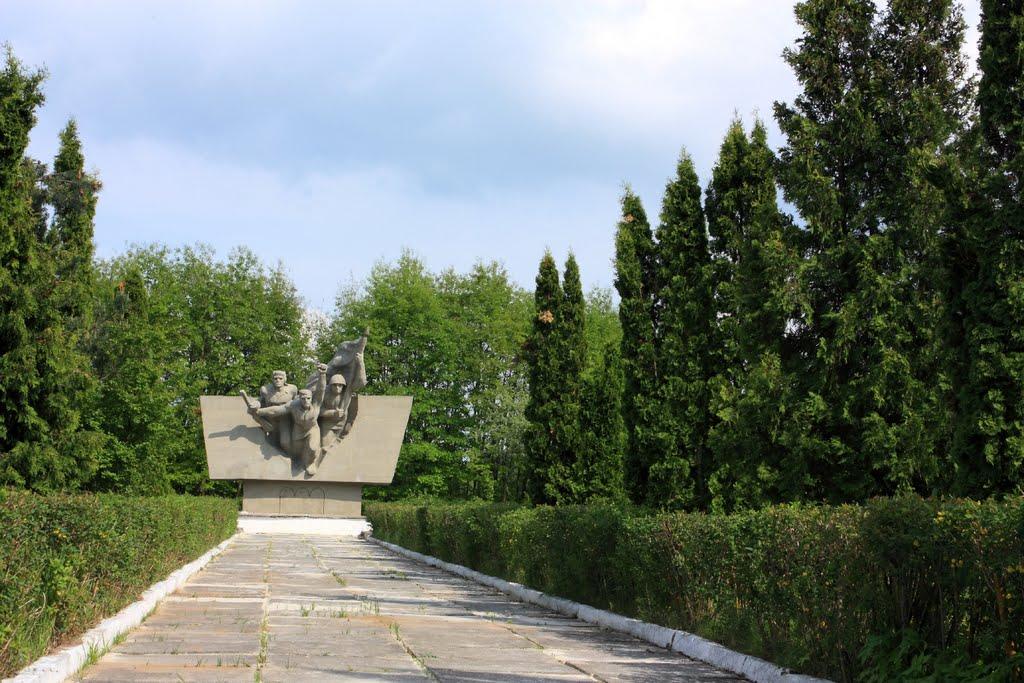 Сасів з panoramio.com - Сасов