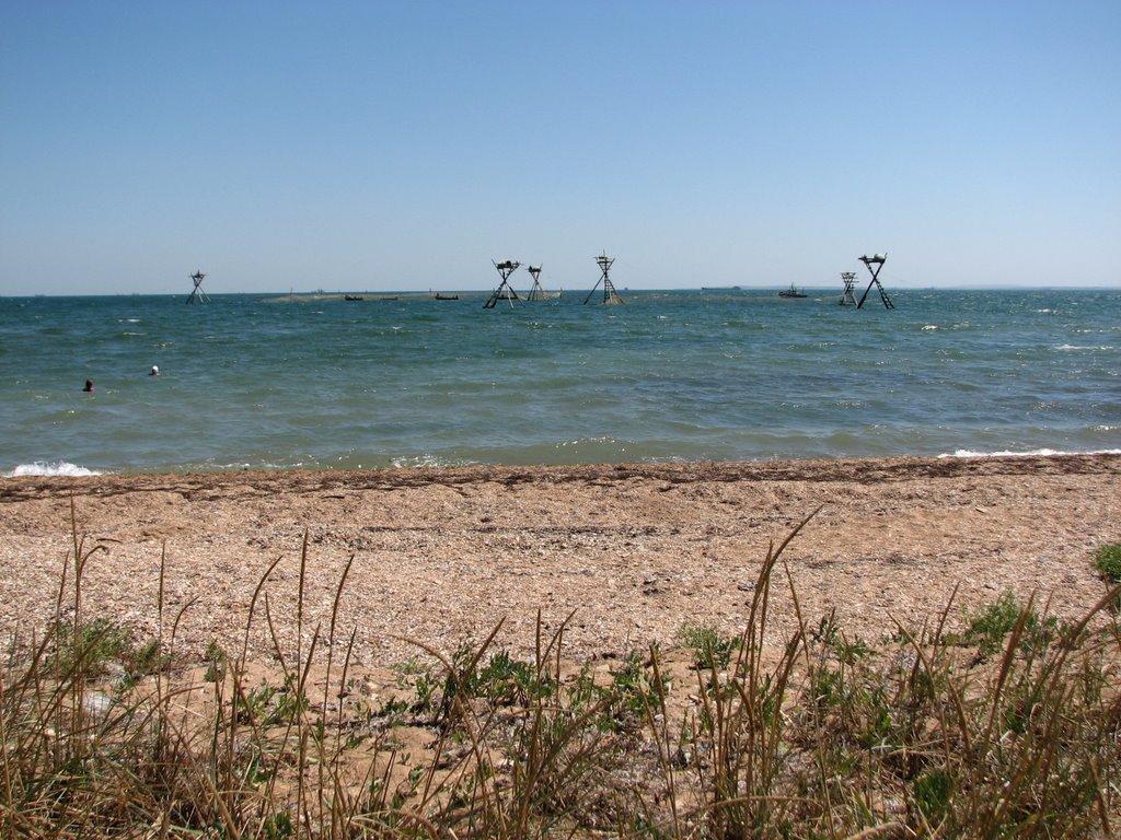 Завітне з panoramio.com - Заветное