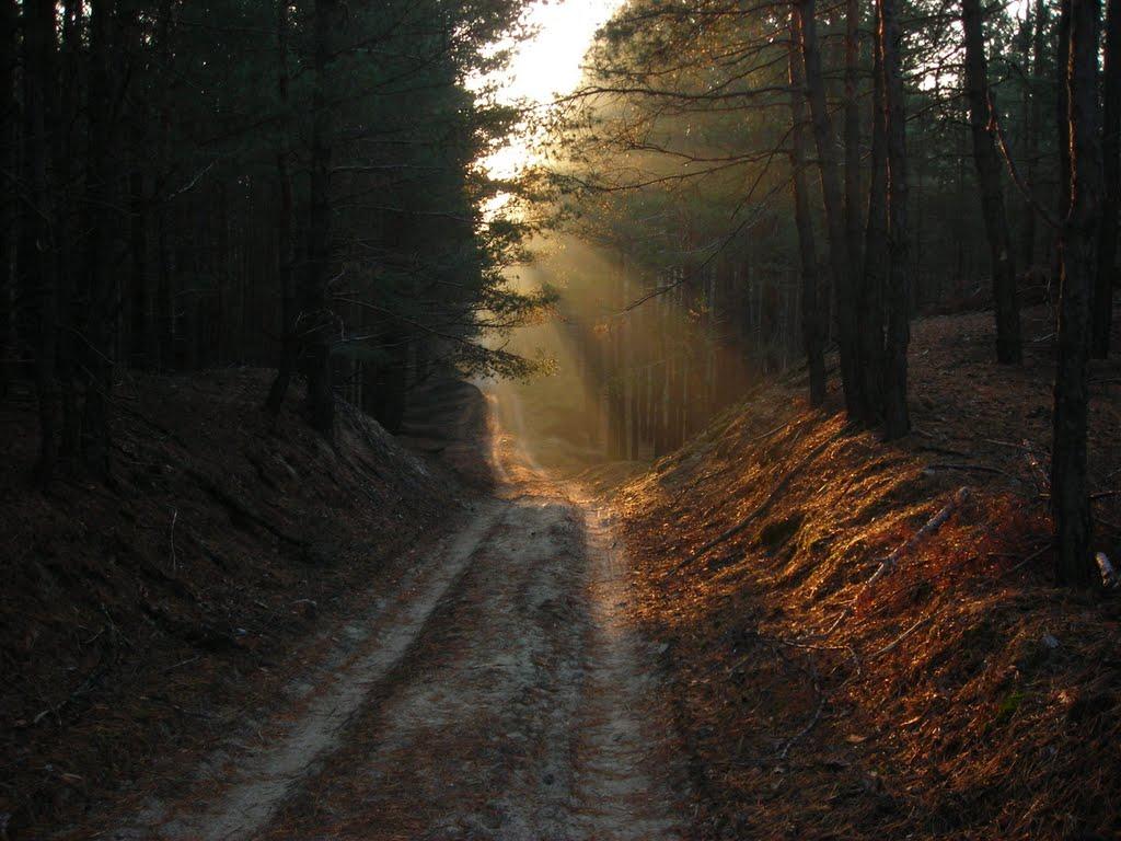 Медведівка з panoramio.com - Medvedivka