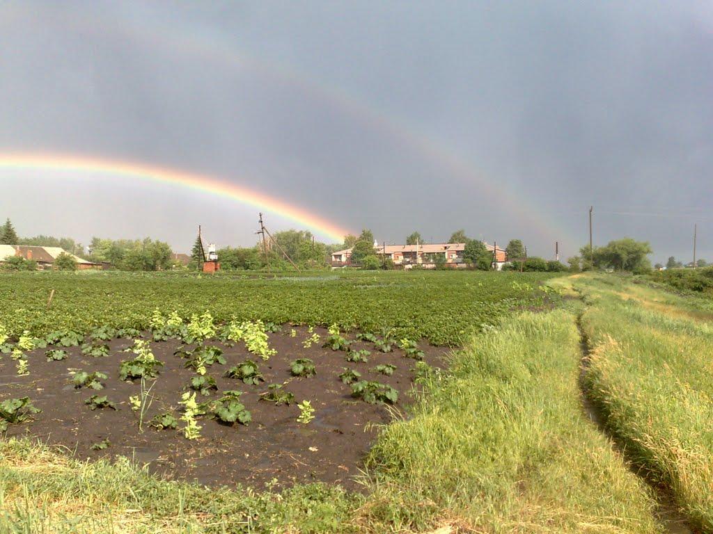 Рибалкине з panoramio.com - Рыбалкино
