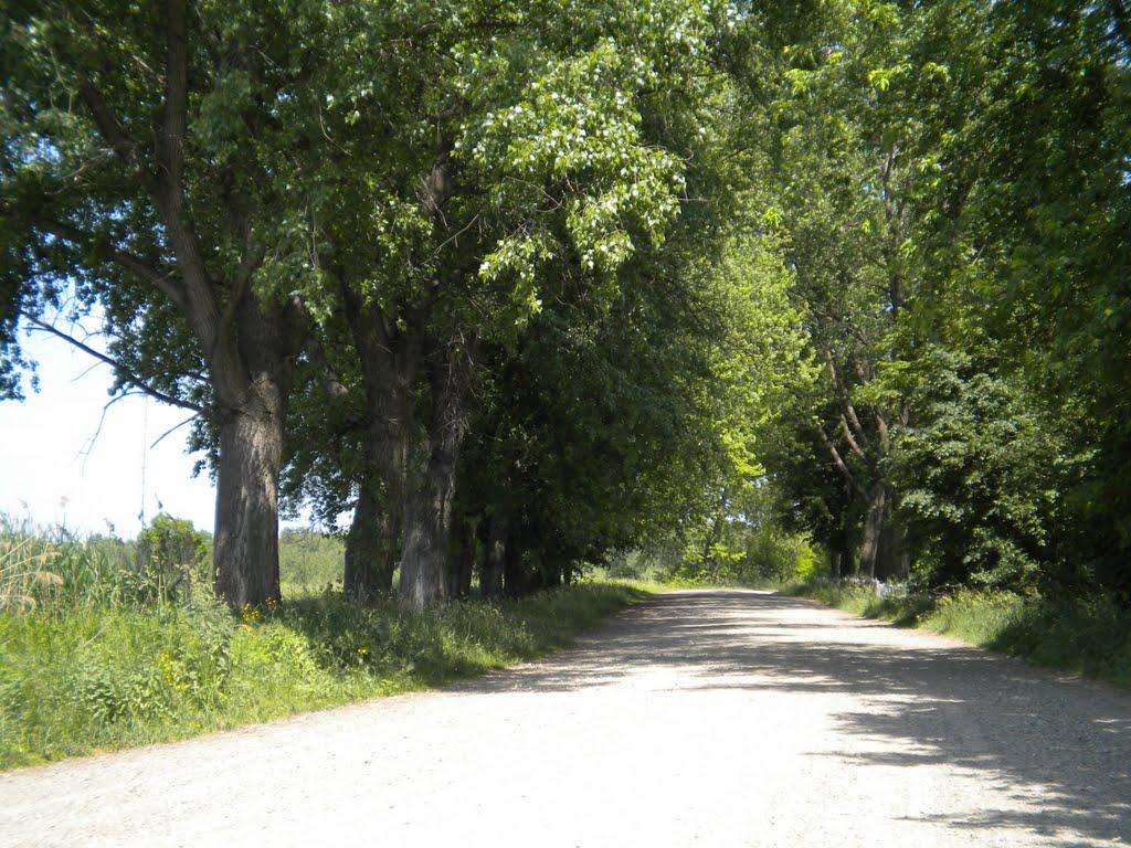 Руда-Крехівська з panoramio.com - Ruda-Krekhivska