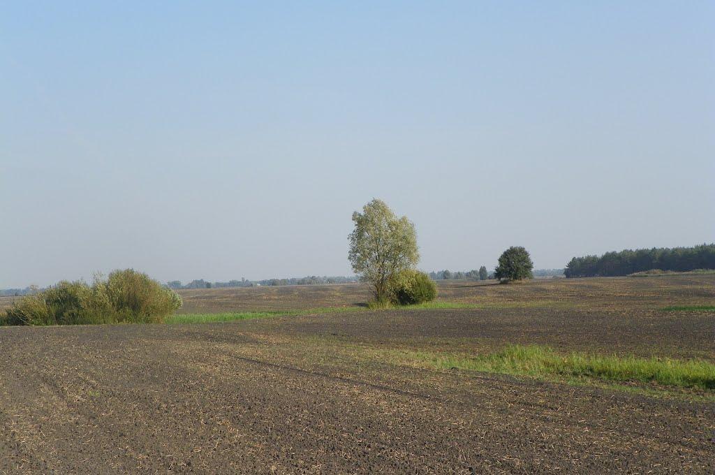 Чехівка з panoramio.com - Чехівка
