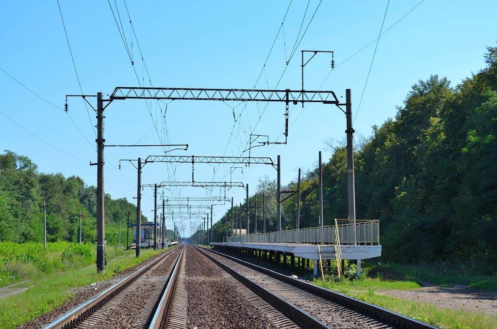 Марківці з panoramio.com - Марковцы