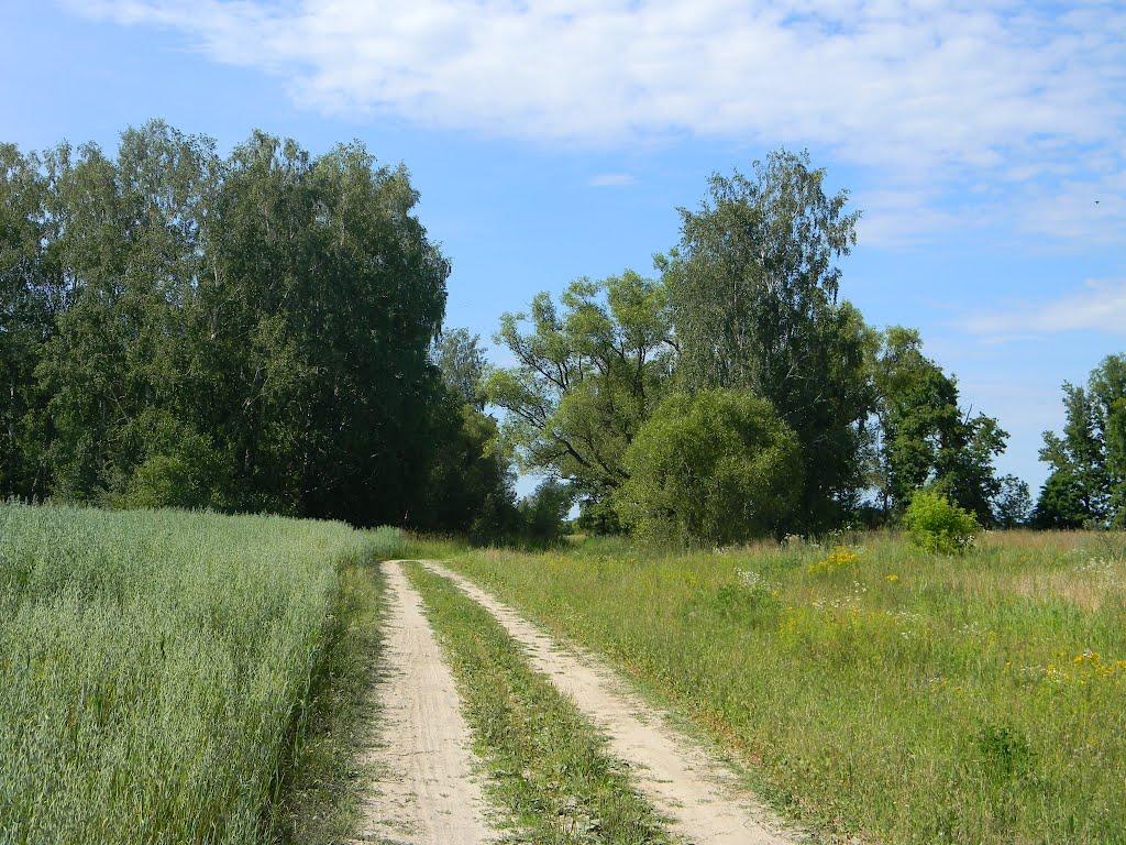Півнівщина з panoramio.com - Пивневщина