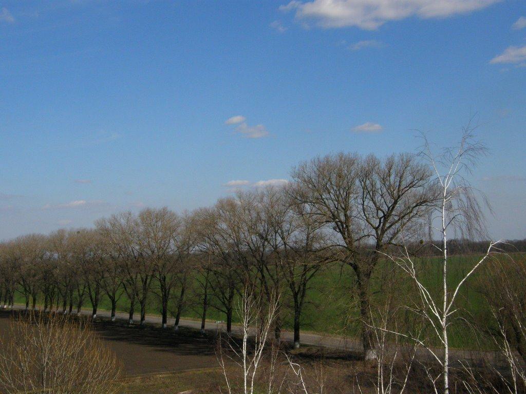 Дослідницьке з panoramio.com - Дослидницкое