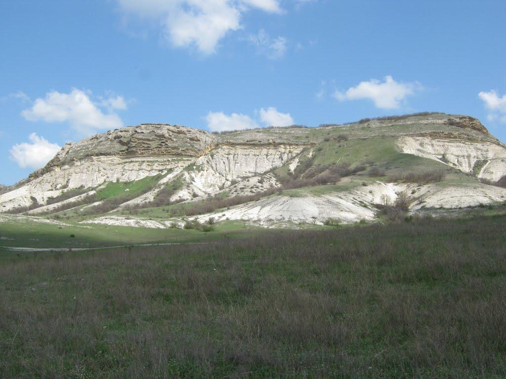 Мічурінське з panoramio.com - Мичуринское