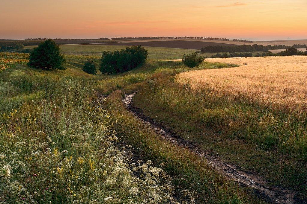 Руська Лозова з panoramio.com - Русская Лозовая