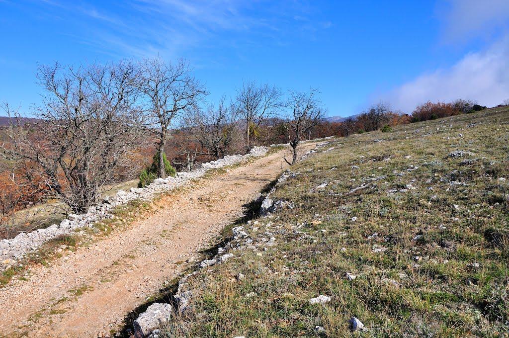 Санаторне з panoramio.com - Санаторное