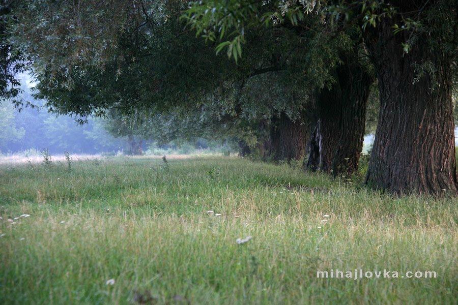 Михайлівка з panoramio.com - Михайловка