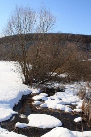 Лошнів з panoramio.com - Лошнів