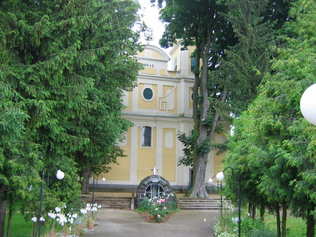 Малі Селменці з panoramio.com - Малые Селлменцы