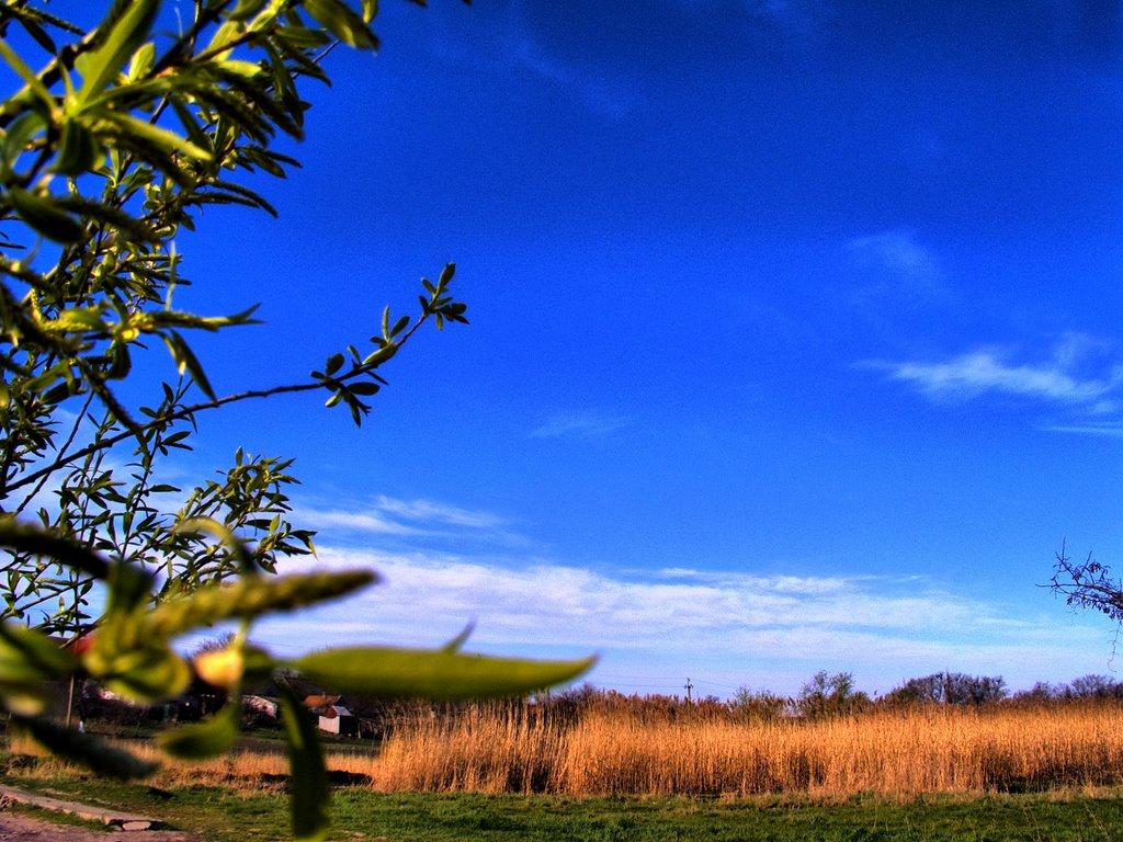 Чернігівка з panoramio.com - Чернігівка