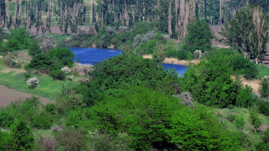 Новокурське з panoramio.com - Новокурське