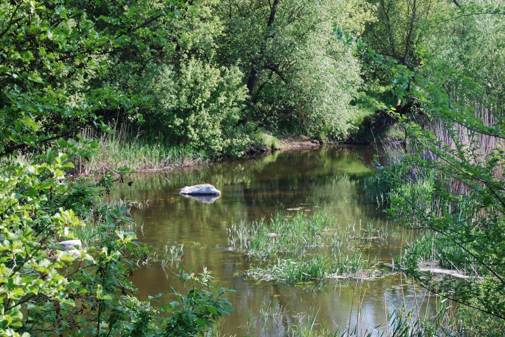 Тернувате з panoramio.com - Терноватое