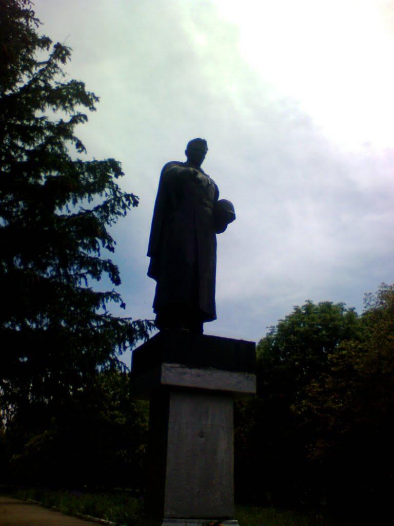 Куцеволівка з panoramio.com - Куцеволівка