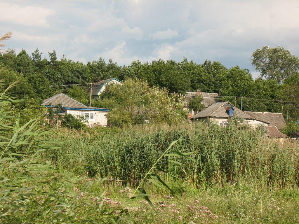 Маламівка з panoramio.com - Маламівка