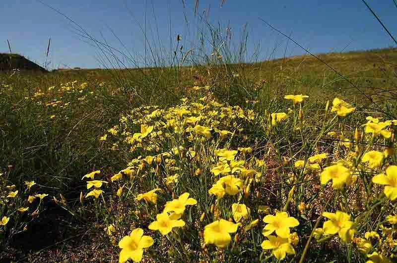 Вахрушеве з panoramio.com - Вахрушеве