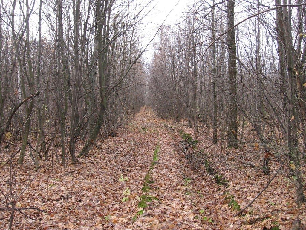 Івахнівка з panoramio.com - Івахнівка