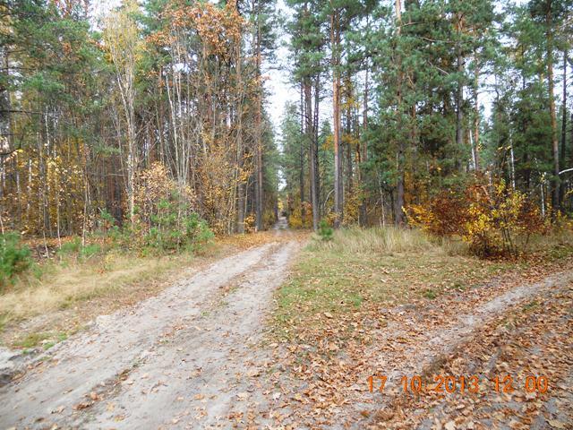 Бондарня з panoramio.com - Бондарня