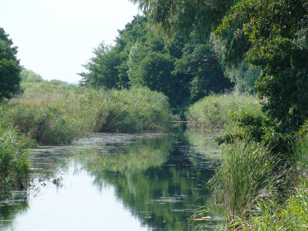 Кізомис з panoramio.com - Кізомис