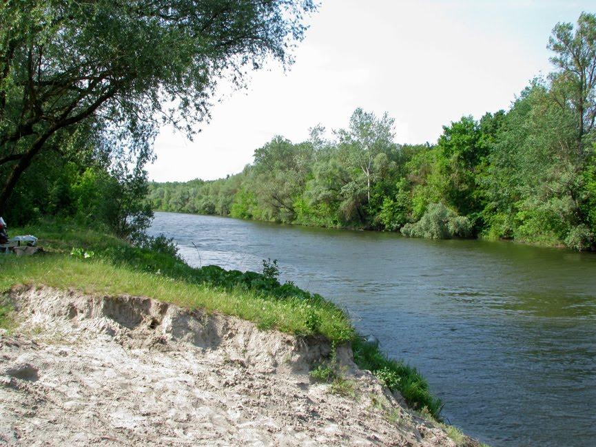 Шилівка з panoramio.com - Шиловка