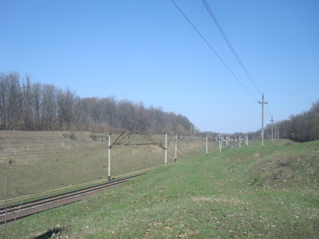 Мартинівка з panoramio.com - Мартинівка