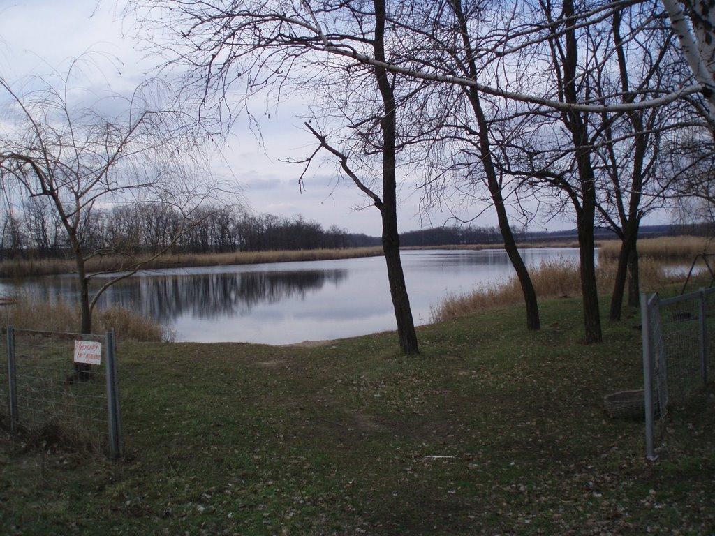 Новохортиця з panoramio.com - Новохортица