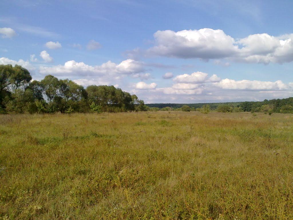 Чорногородка з panoramio.com - Chornogorodka